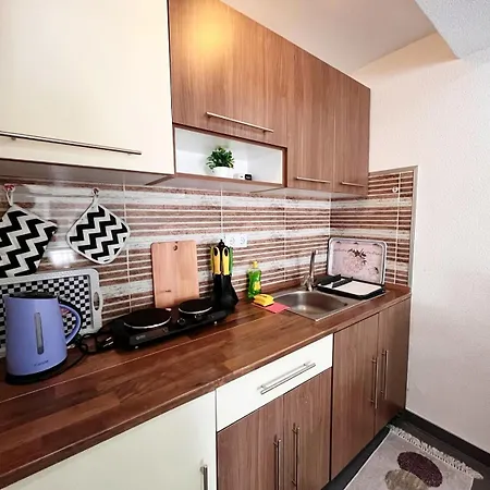 Guest house Mesic Neum
